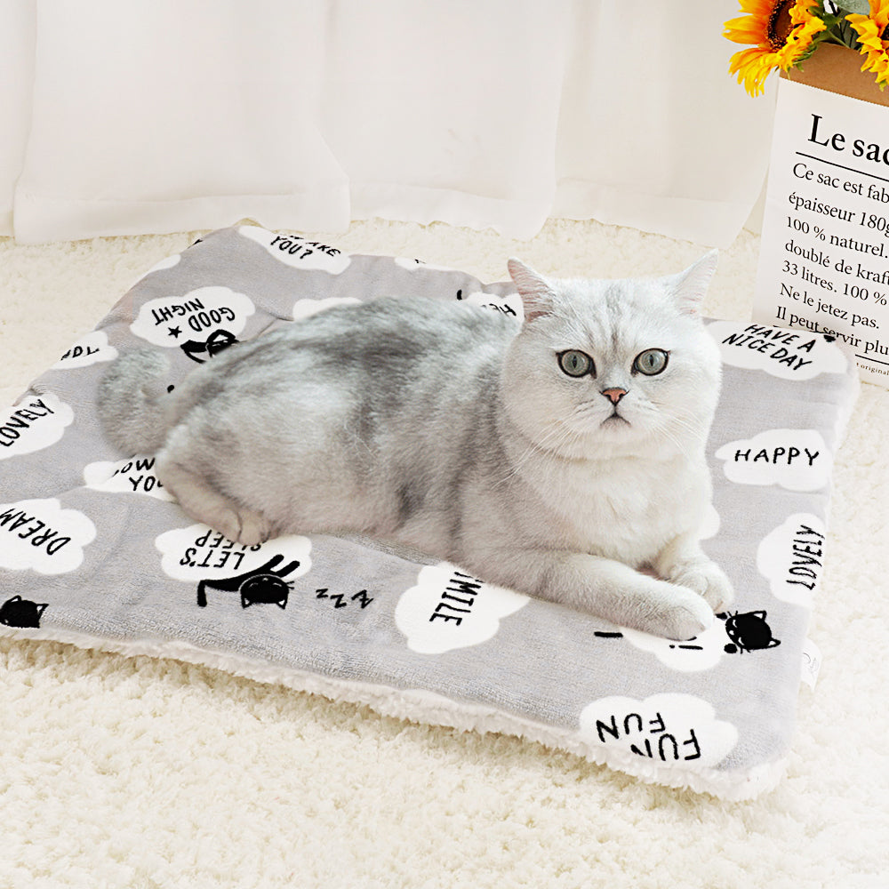 Soft pet blanket for everyday comfort and warmth