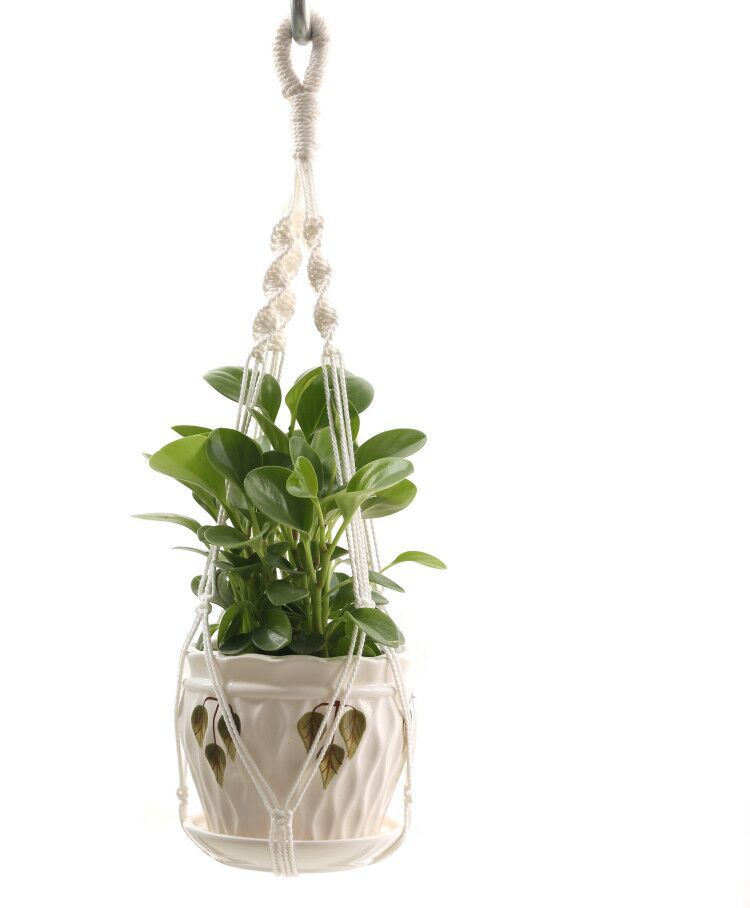 Handmade Rope Plant Hanger | Samaya Eco Goods
