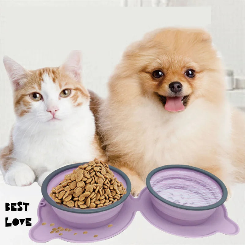 Foldable silicone double pet bowl for travel and outdoor feeding