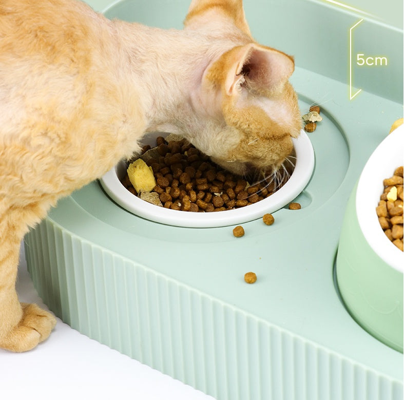 Ceramic pet feeding bowls set
