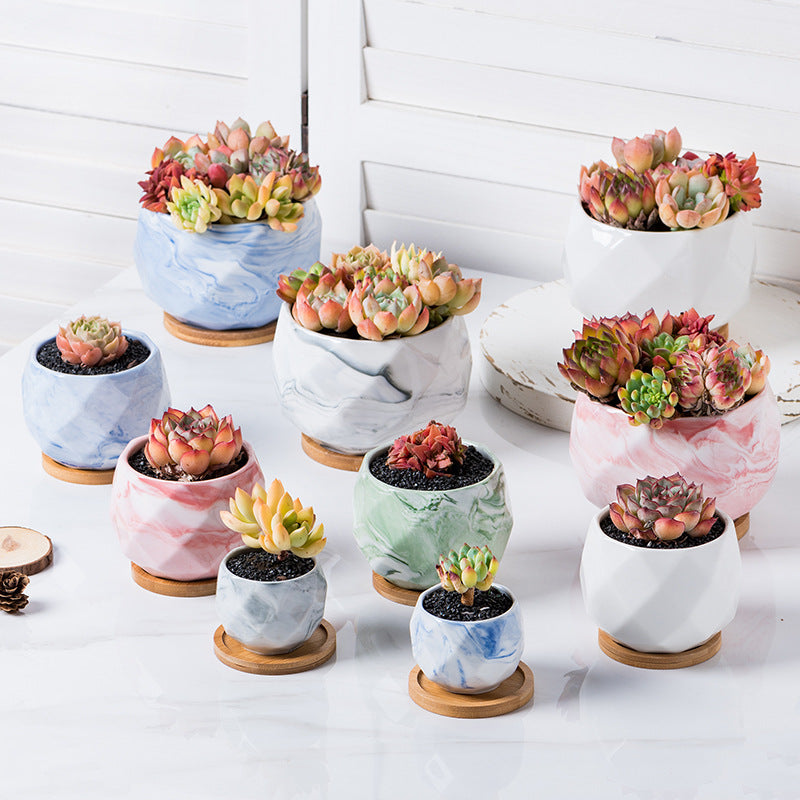 Scandinavian ceramic succulent planter